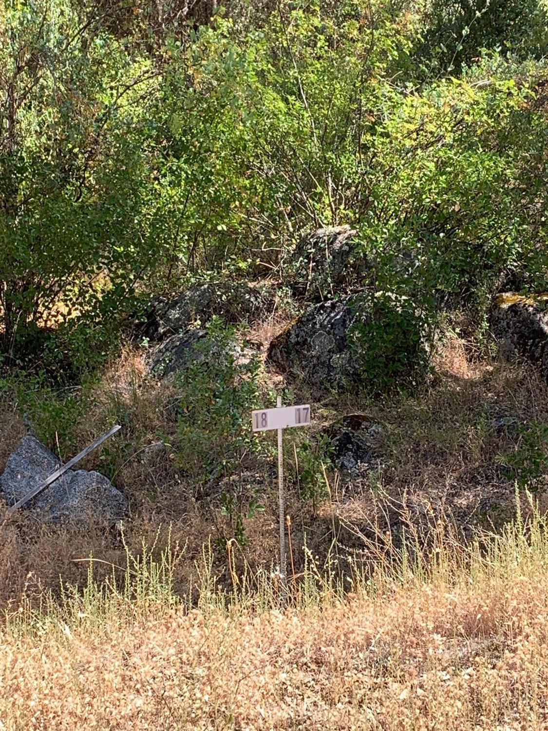 3974 Pacific Bars Road Mariposa, CA 95338 - Photo 12 of 22 Gallery Image 12