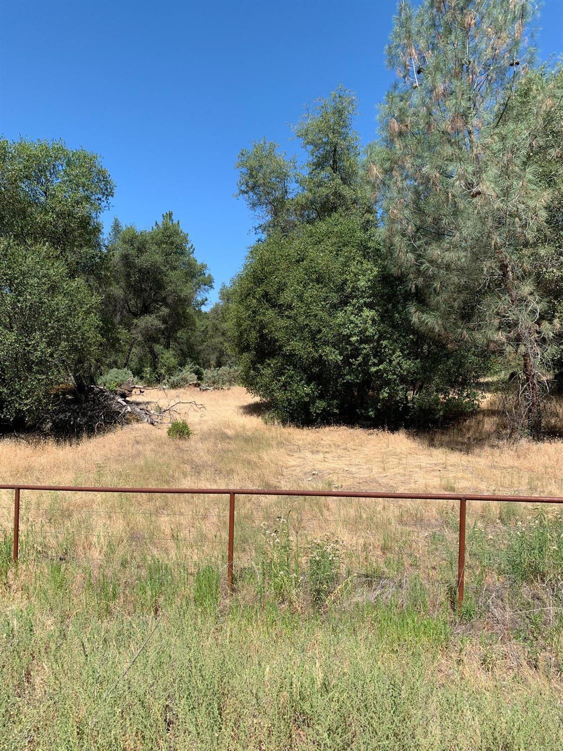 3974 Pacific Bars Road Mariposa, CA 95338 - Photo 17 of 22 Gallery Image 17