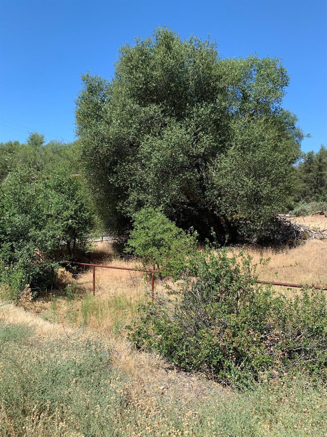 3974 Pacific Bars Road Mariposa, CA 95338 - Photo 19 of 22 Gallery Image 19