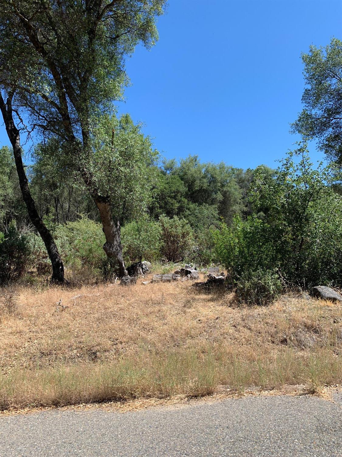 3974 Pacific Bars Road Mariposa, CA 95338 - Photo 21 of 22 Gallery Image 21