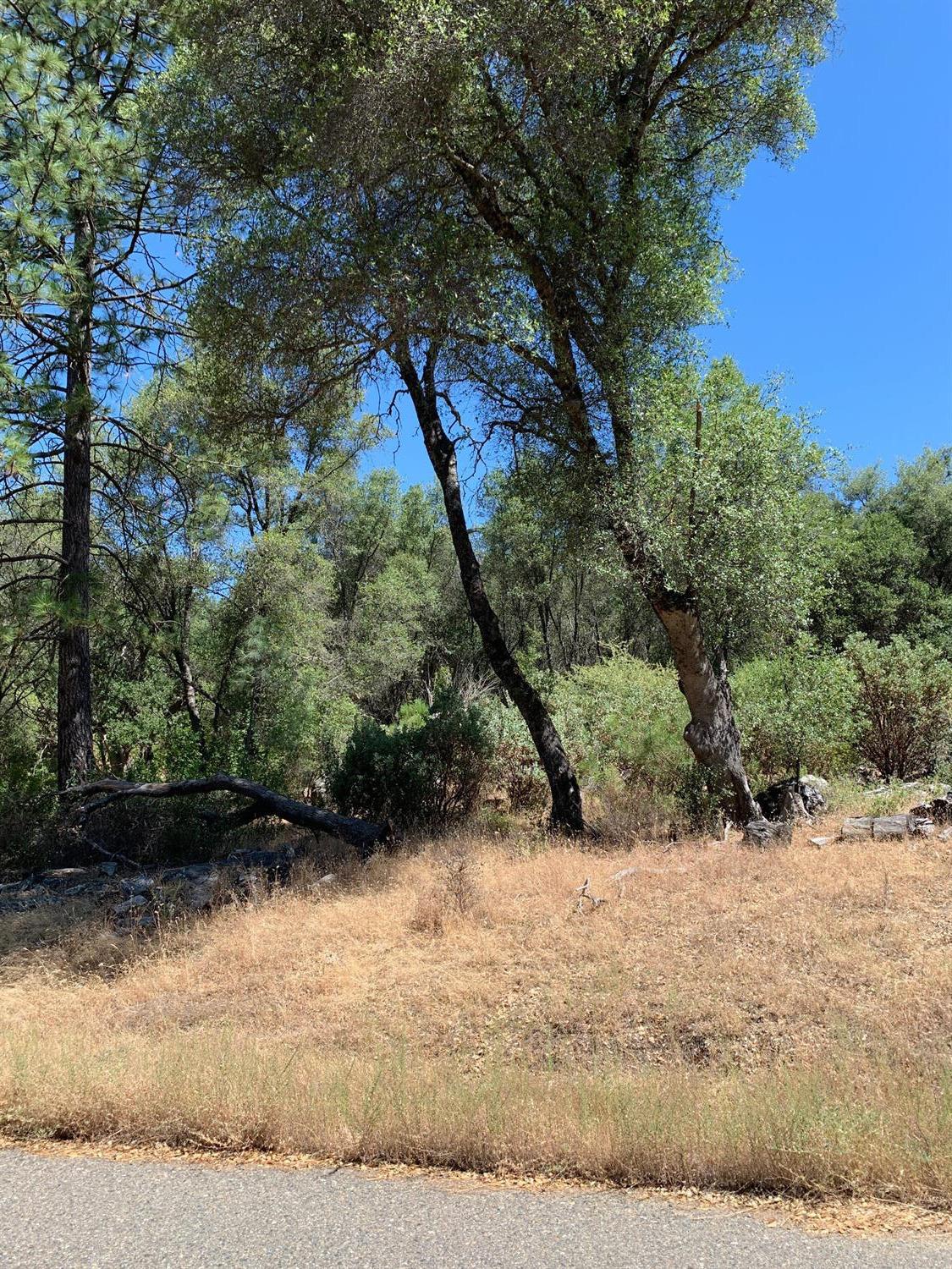 3974 Pacific Bars Road Mariposa, CA 95338 - Photo 5 of 22 Gallery Image 5