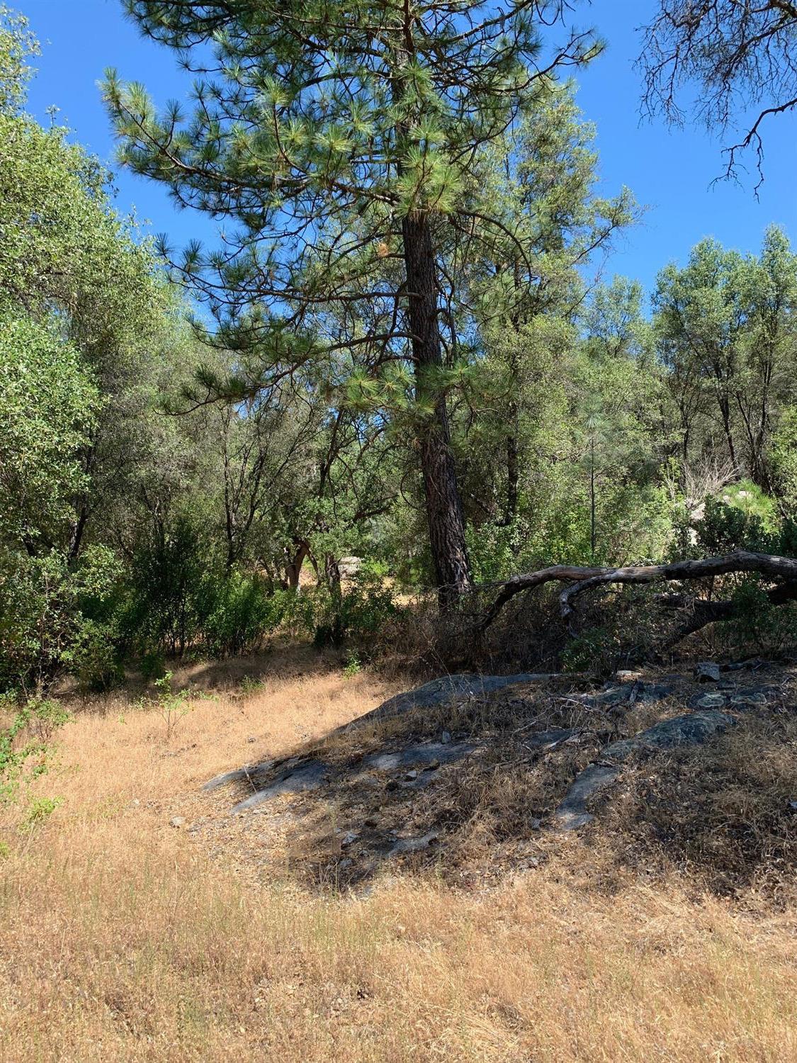 3974 Pacific Bars Road Mariposa, CA 95338 - Photo 7 of 22 Gallery Image 7