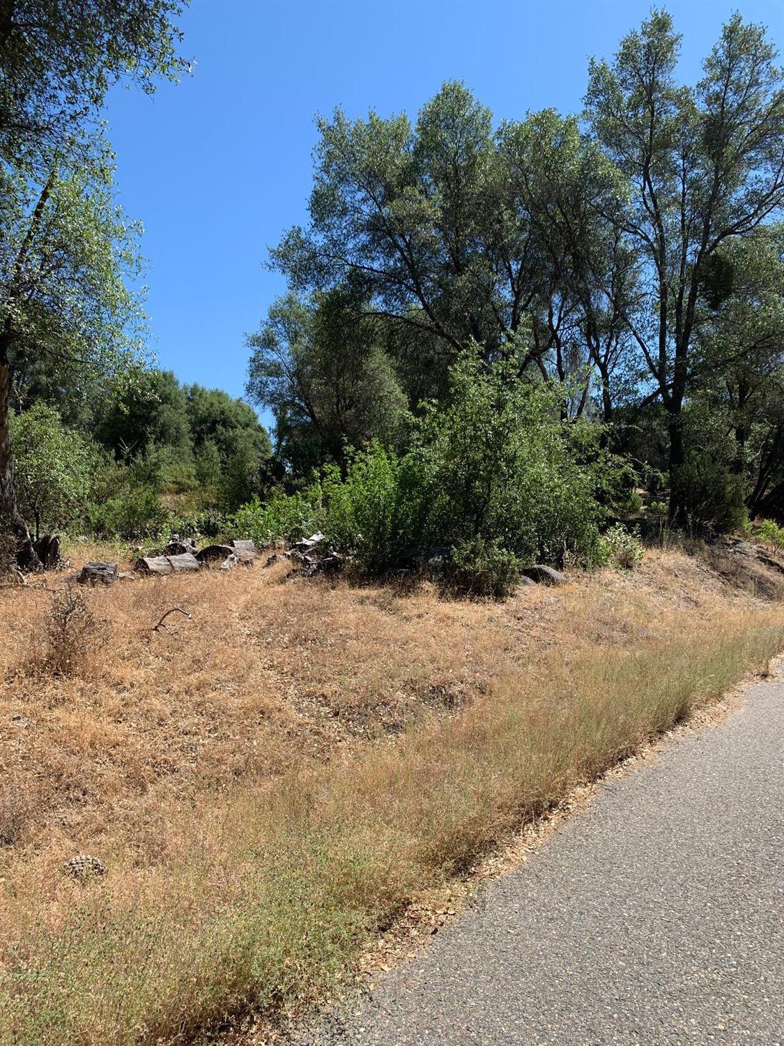 3974 Pacific Bars Road Mariposa, CA 95338 - Photo 9 of 22 Gallery Image 9