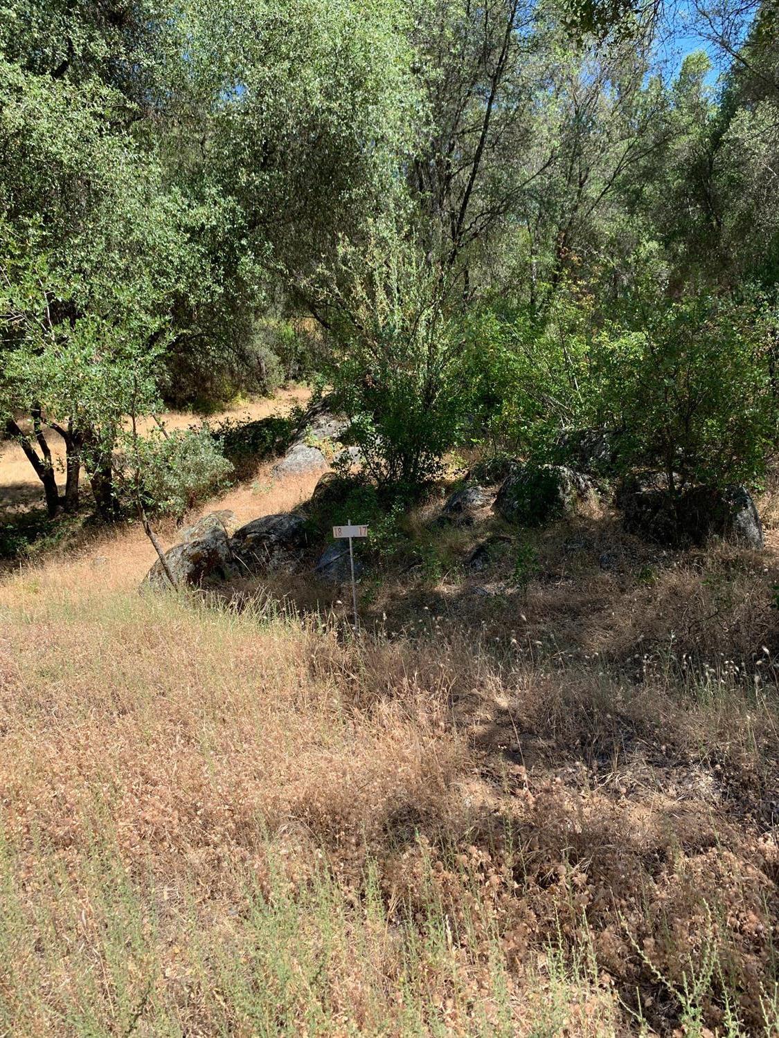3974 Pacific Bars Road Mariposa, CA 95338 - Photo 10 of 22 Gallery Image 10