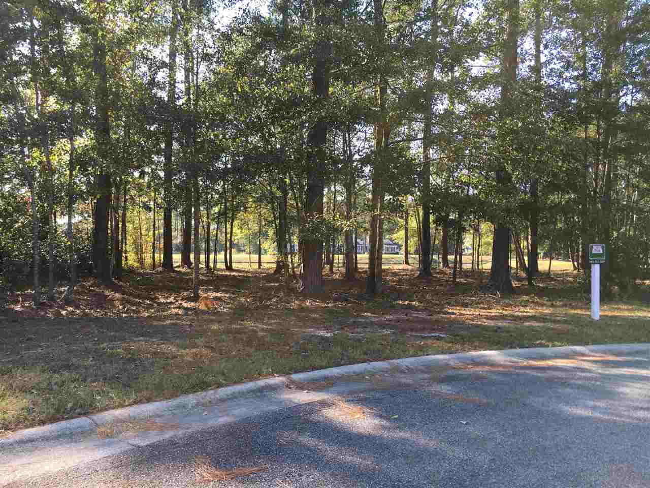 Lot 96 Rexford Court Murrells Inlet, SC 29576 - Photo 5 of 16 Gallery Image 5