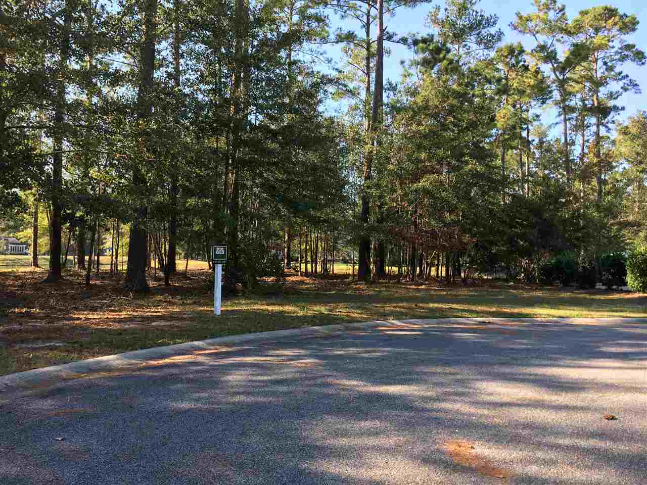 Lot 96 Rexford Court Murrells Inlet, SC 29576 - Photo 6 of 16 Gallery Image 6