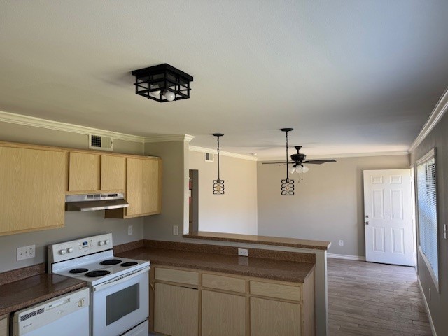 3620 Southmore Boulevard, Unit 11 Houston, TX 77004 - Photo 6 of 15 a kitchen with a stove and a refrigerator