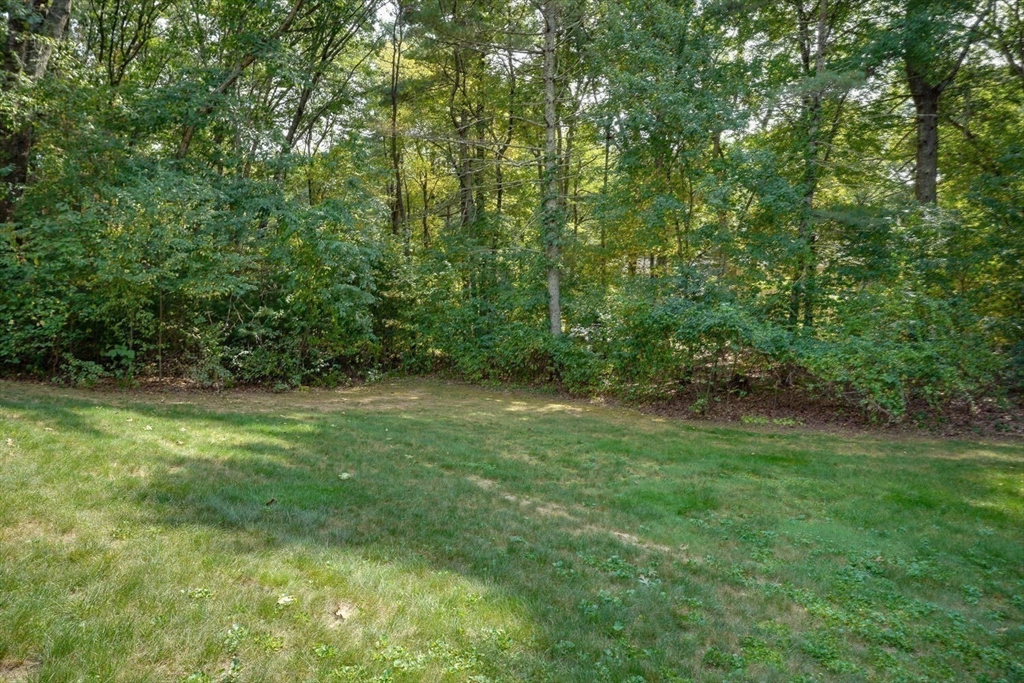 3 Pheasanthill Road Norfolk, MA 02056 - Photo 32 of 32 a view of a lush green space
