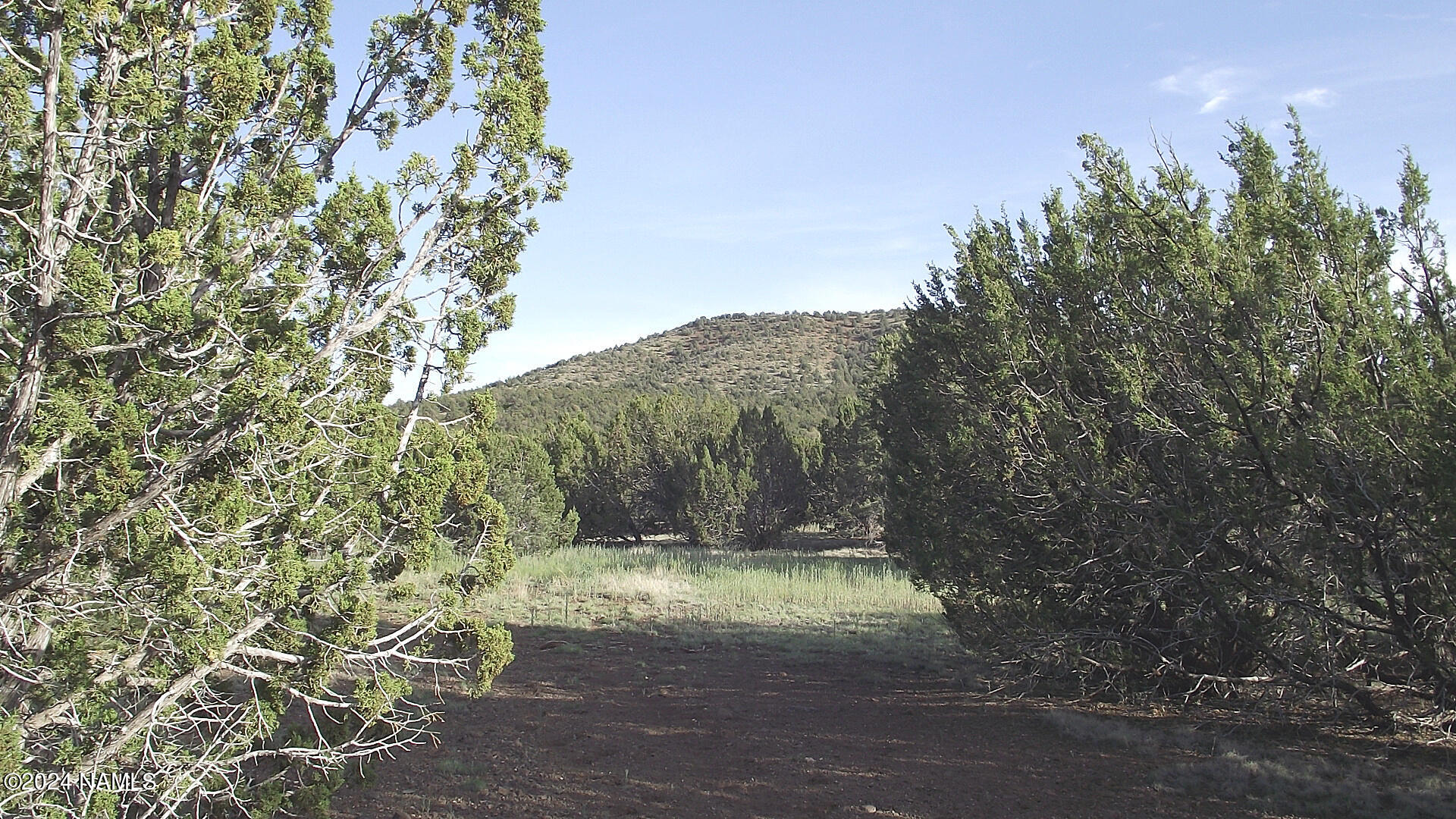 13378 Bowdar Road Williams, AZ 86046 - Photo 7 of 10 DSCF3351 (1)