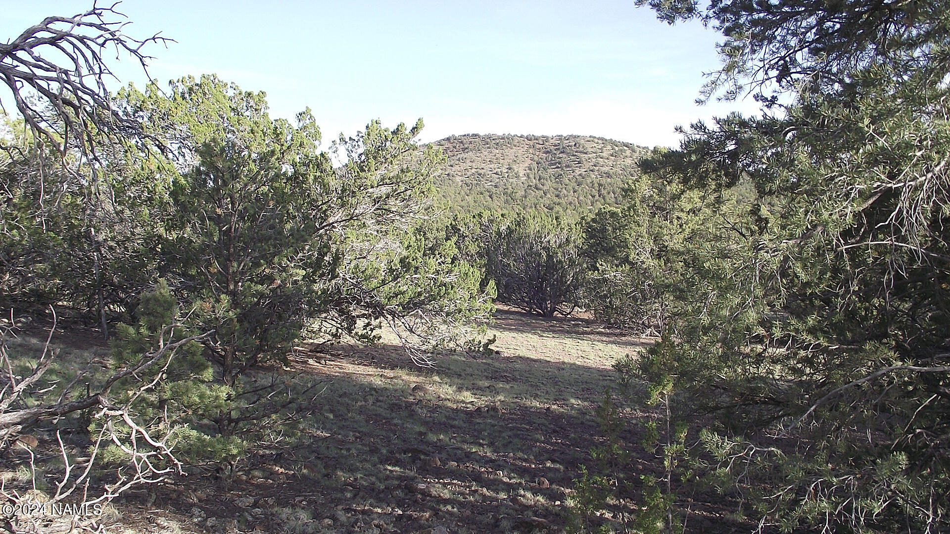13378 Bowdar Road Williams, AZ 86046 - Photo 8 of 10 DSCF3349 (1)