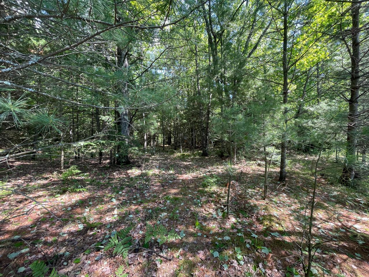 1207 South Little Bass Lake Road Eagle River, WI 54521 - Photo 13 of 47 Gallery Image 13