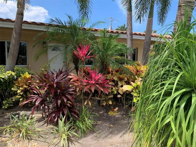 a view of a potted plant