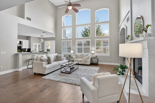 a living room with furniture and a potted plant