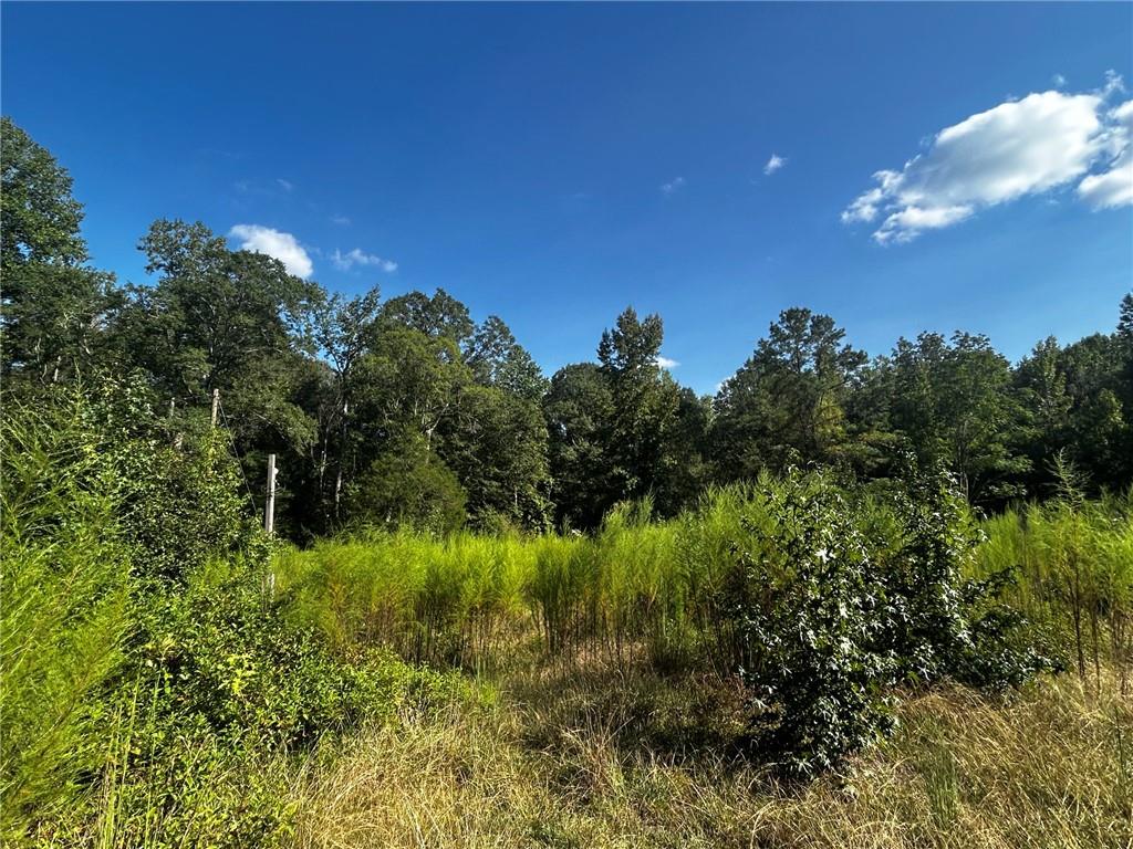 12345 Hamilton Road Palmetto, GA 30268 - Photo 11 of 14 Gallery Image 11