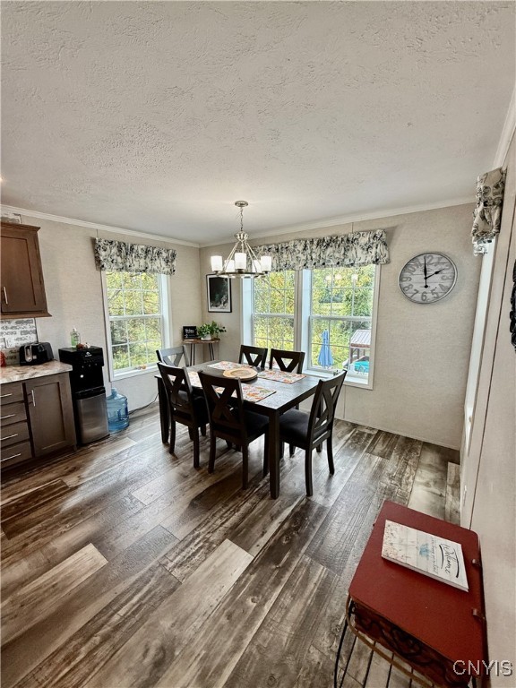 7023 River Road Aurelius, NY 13034 - Photo 12 of 23