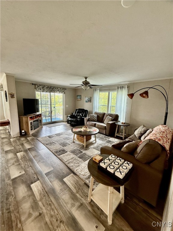 7023 River Road Aurelius, NY 13034 - Photo 15 of 23