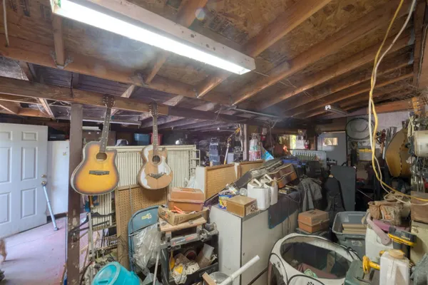 a plant that is in front of flowers