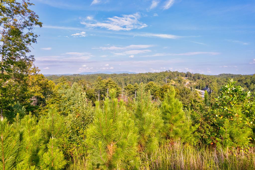 115 Ridge Wood Trail Hiawassee, GA 30546 - Photo 1 of 34 a view of a yard