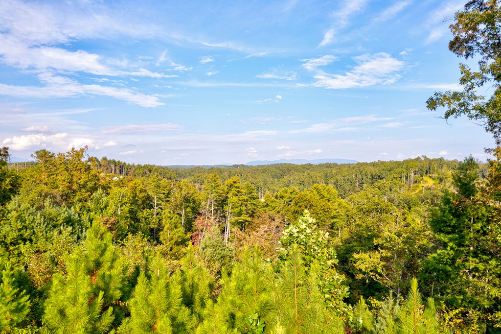 115 Ridge Wood Trail Hiawassee, GA 30546 - Photo 11 of 34 a view of an ocean