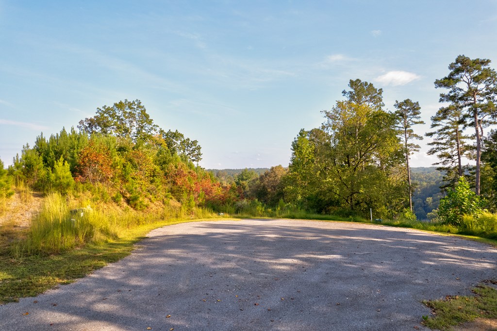 115 Ridge Wood Trail Hiawassee, GA 30546 - Photo 12 of 34 a view of a yard with an trees