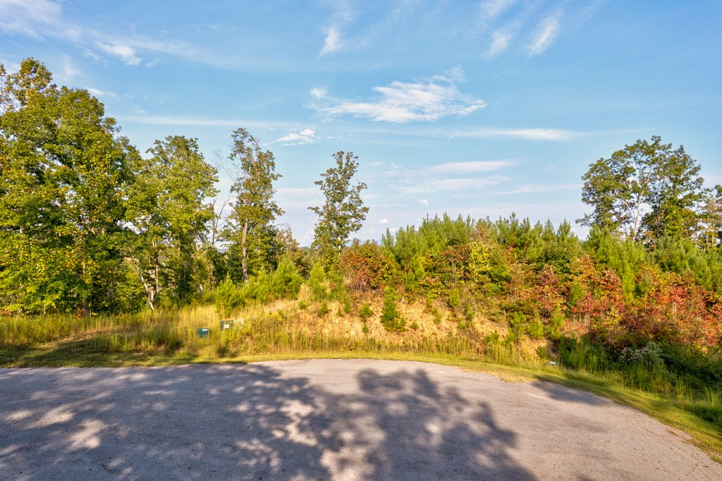 115 Ridge Wood Trail Hiawassee, GA 30546 - Photo 13 of 34 a view of a yard with a house