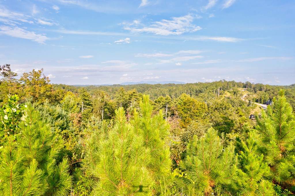 115 Ridge Wood Trail Hiawassee, GA 30546 - Photo 15 of 34 a view of lake view and mountain view