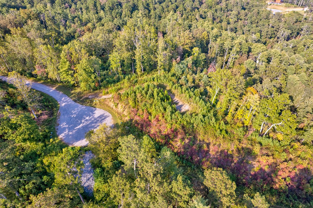 115 Ridge Wood Trail Hiawassee, GA 30546 - Photo 16 of 34