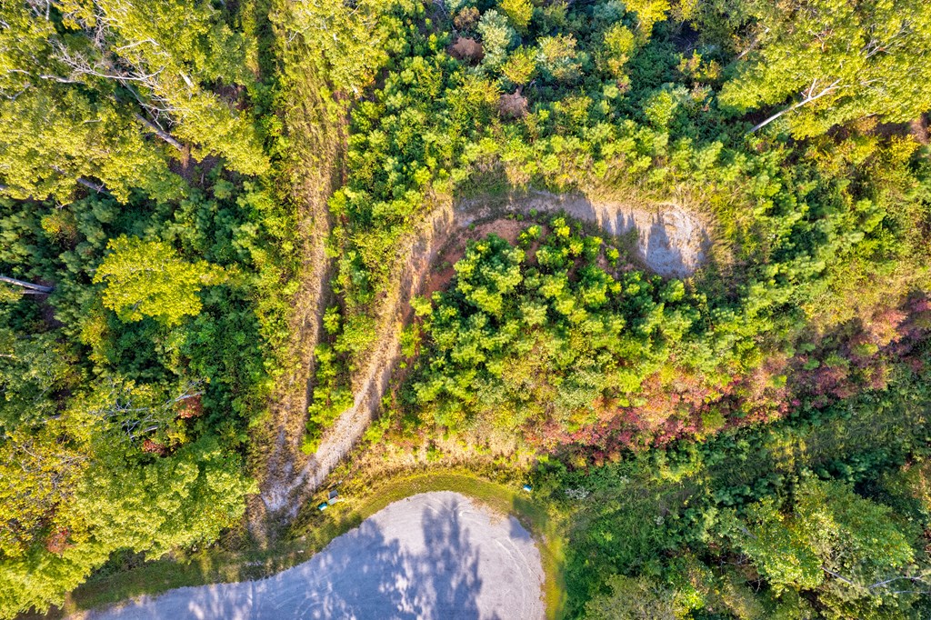 115 Ridge Wood Trail Hiawassee, GA 30546 - Photo 17 of 34 a yard with a tree