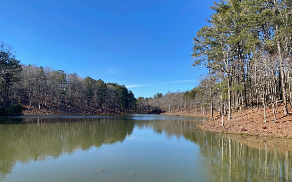 115 Ridge Wood Trail Hiawassee, GA 30546 - Photo 21 of 34 a view of a lake with a mountain in the background
