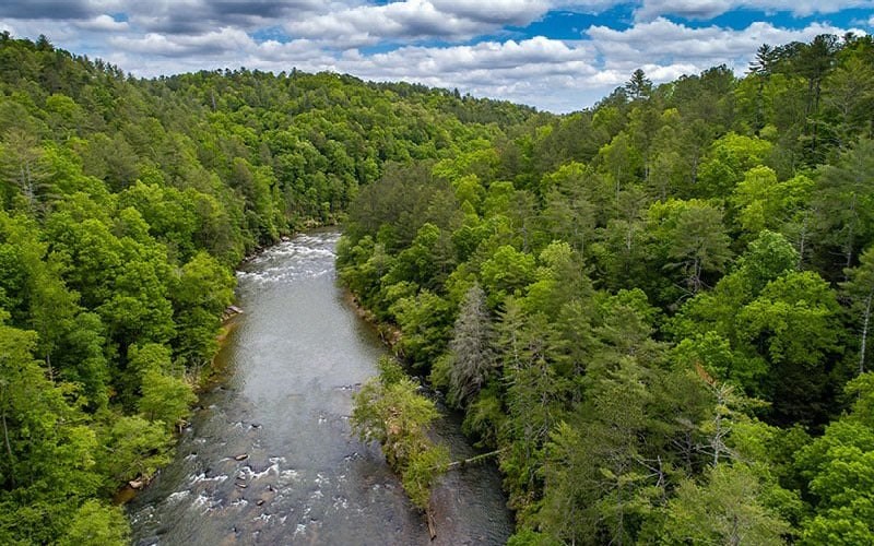 115 Ridge Wood Trail Hiawassee, GA 30546 - Photo 25 of 34 a view of a garden with a building