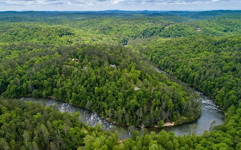 115 Ridge Wood Trail Hiawassee, GA 30546 - Photo 26 of 34 a view of a lush green space