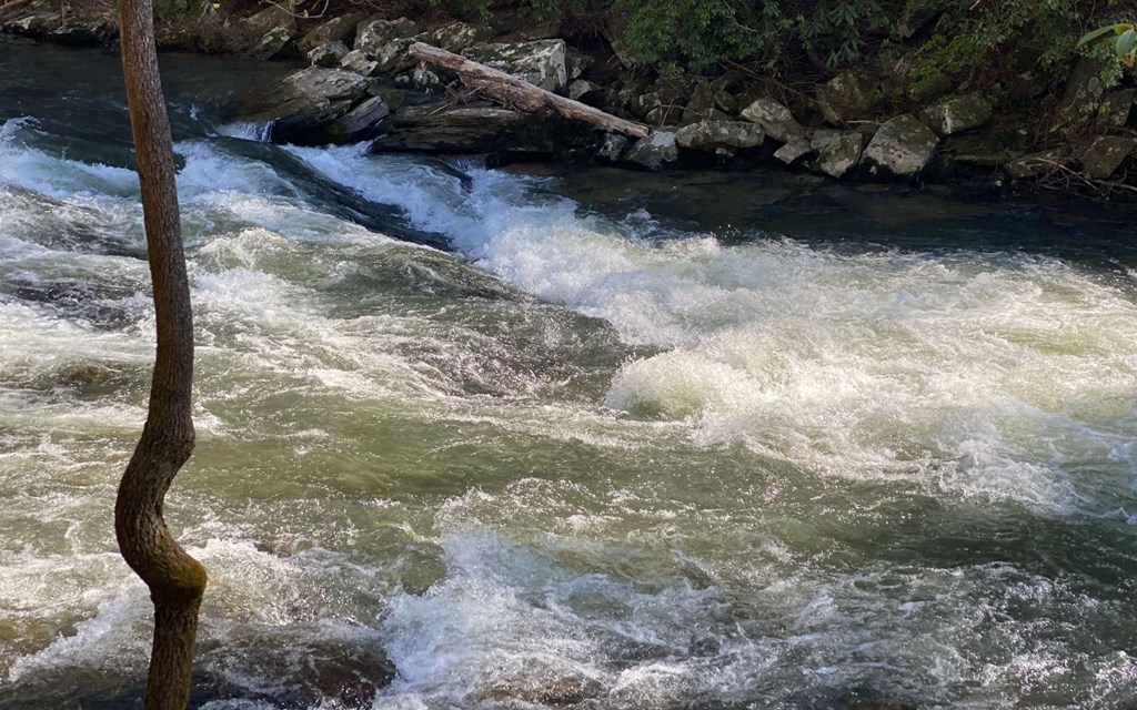115 Ridge Wood Trail Hiawassee, GA 30546 - Photo 28 of 34 a view of a yard