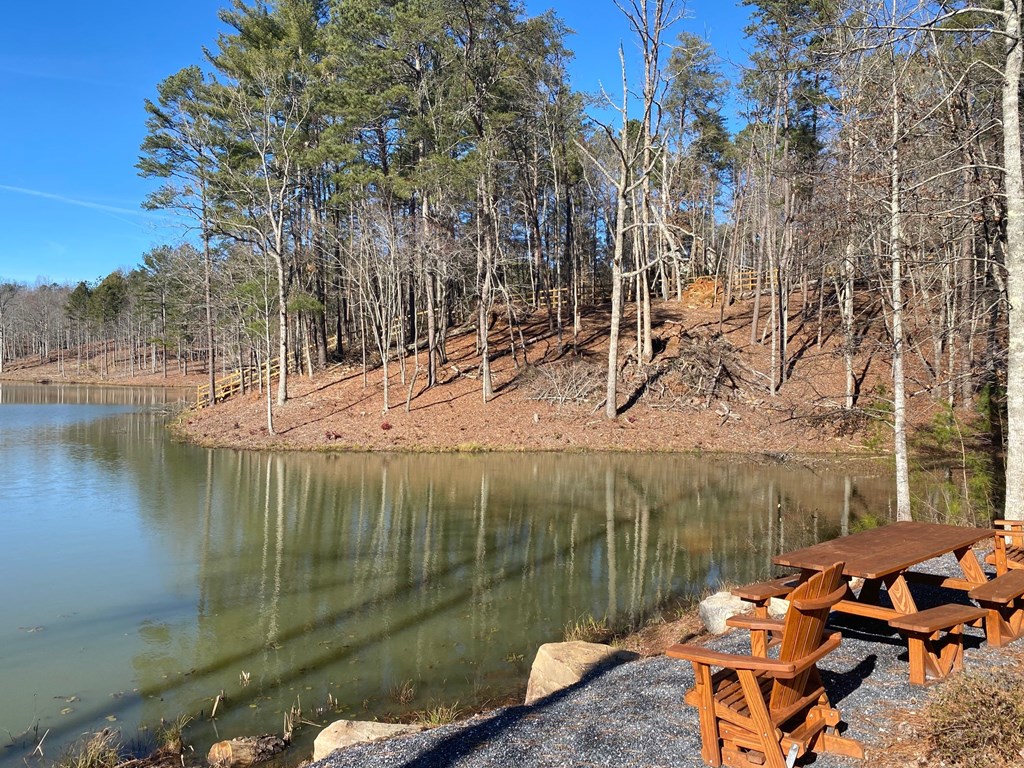 115 Ridge Wood Trail Hiawassee, GA 30546 - Photo 31 of 34 a view of a lake with a mountain view