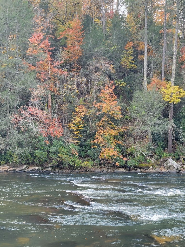 115 Ridge Wood Trail Hiawassee, GA 30546 - Photo 32 of 34 a view of a yard with large trees