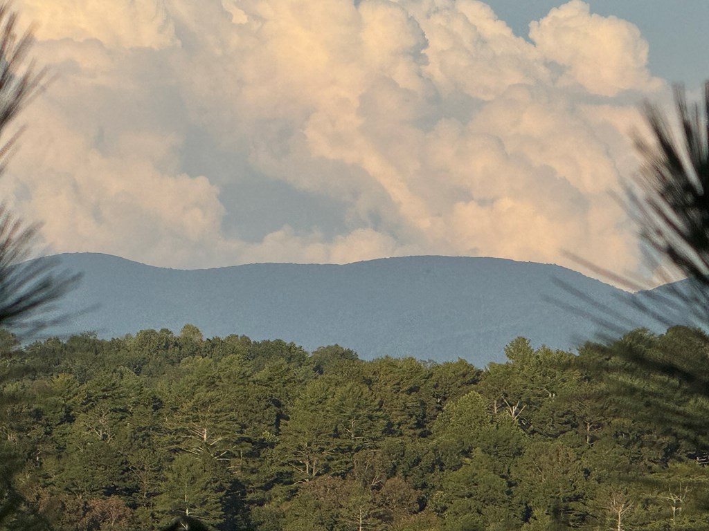 115 Ridge Wood Trail Hiawassee, GA 30546 - Photo 33 of 34 an aerial view of a house