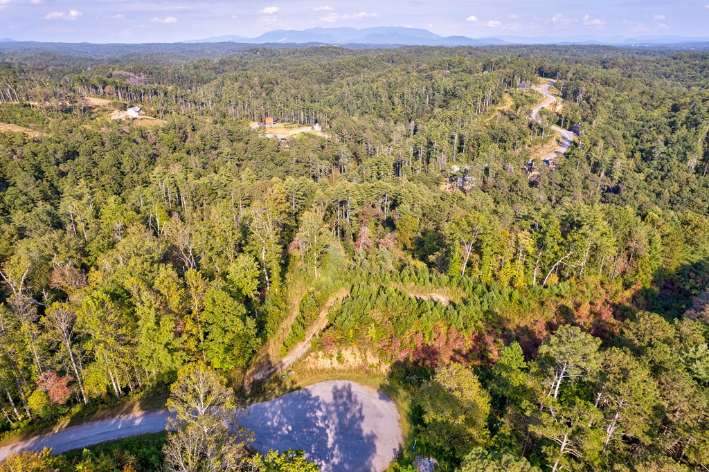 115 Ridge Wood Trail Hiawassee, GA 30546 - Photo 5 of 34 a view of a city with lush green forest and mountain view