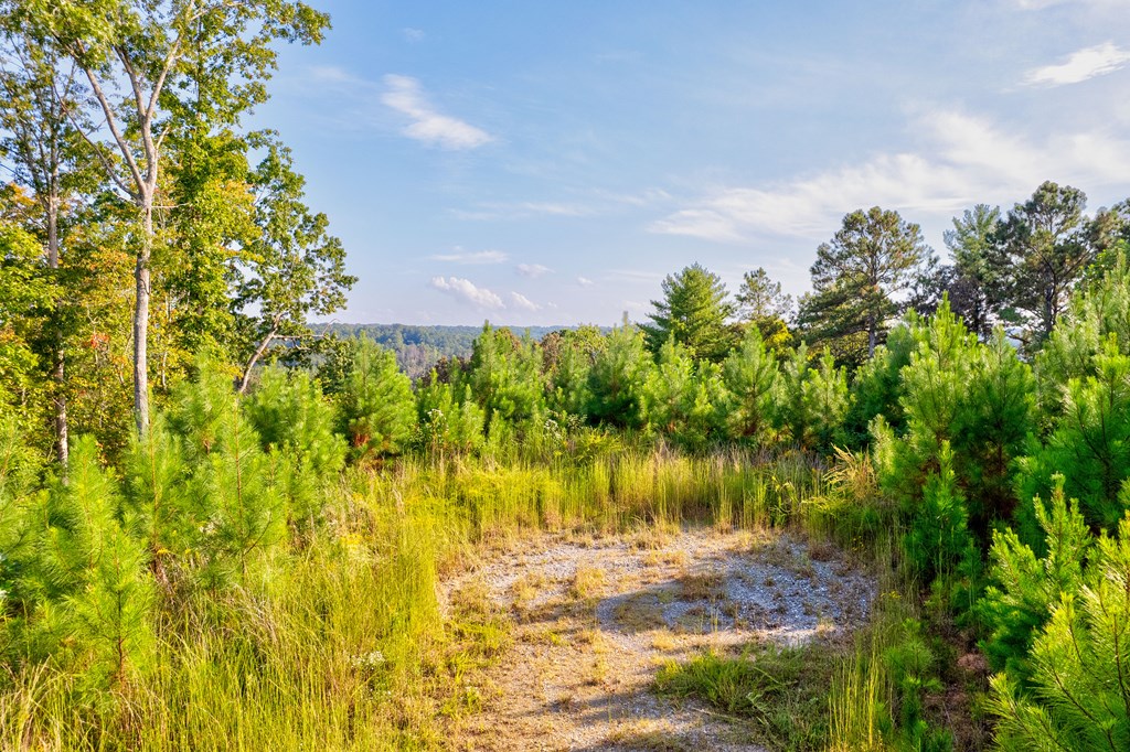 115 Ridge Wood Trail Hiawassee, GA 30546 - Photo 6 of 34 a view of a lake view