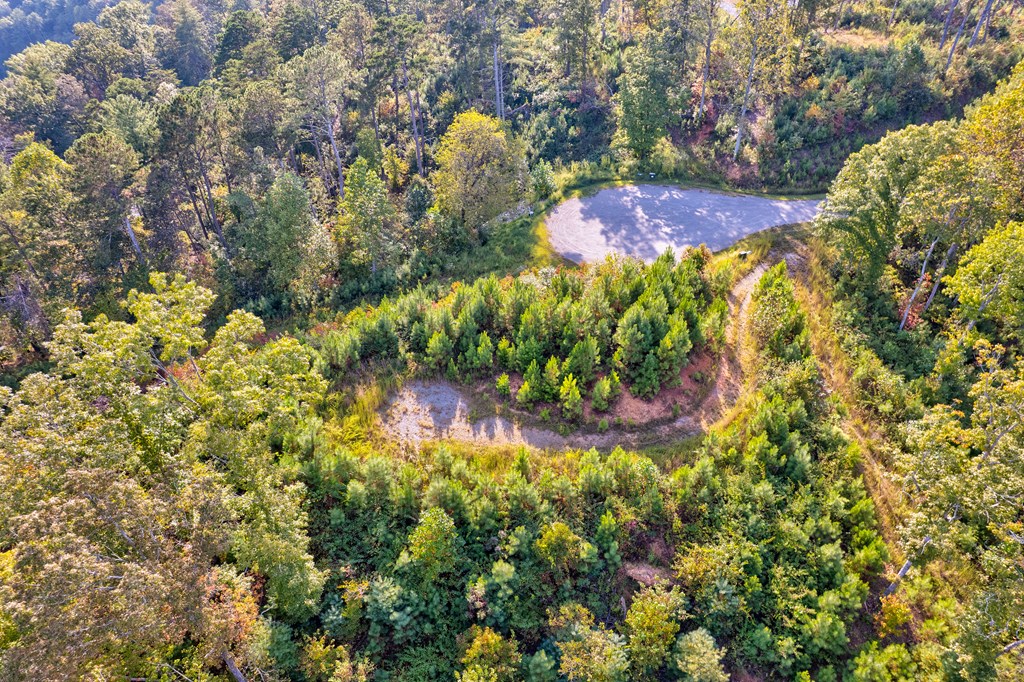 115 Ridge Wood Trail Hiawassee, GA 30546 - Photo 8 of 34 a view of a garden with plants