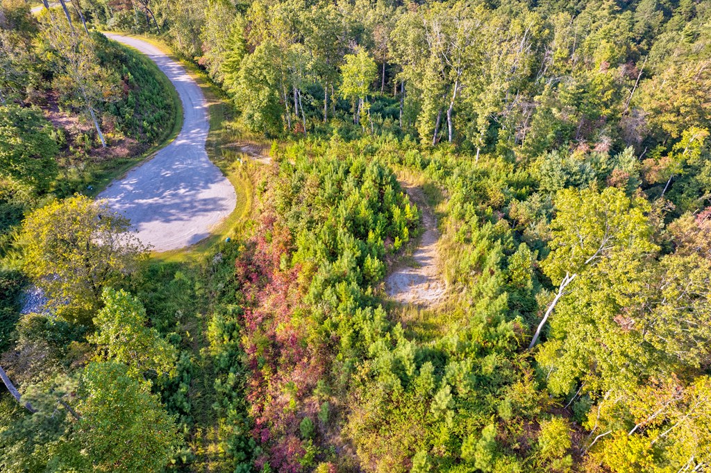 115 Ridge Wood Trail Hiawassee, GA 30546 - Photo 9 of 34 a view of a yard