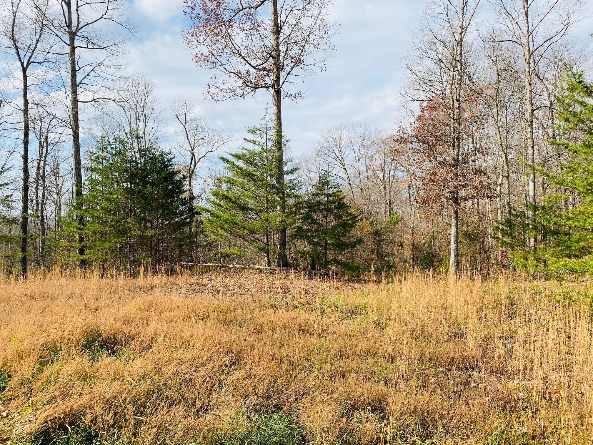 29 Stearns Holw Road Monticello, KY 42633 - Photo 22 of 25 IMG_4673