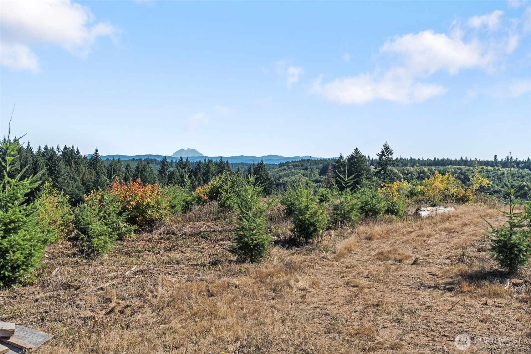 a view of a lake with trees in the background