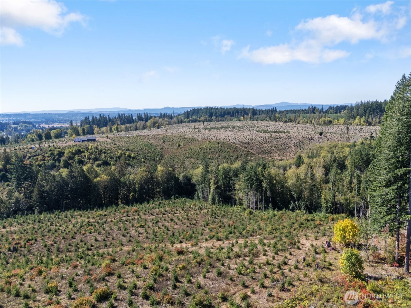 2 Macomber Road West Chehalis, WA 98532 - Photo 2 of 8 a view of lake with mountain