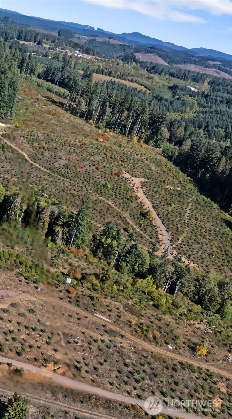 2 Macomber Road West Chehalis, WA 98532 - Photo 5 of 8 a view of a forest with a lake