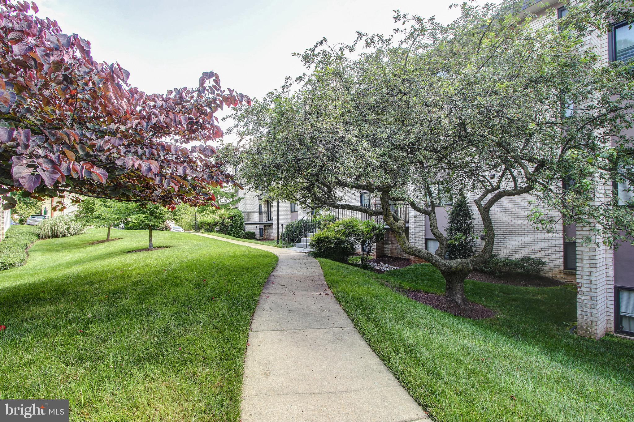 10862 Bucknell Drive, Unit 1 Silver Spring, MD 20902 - Photo 4 of 47