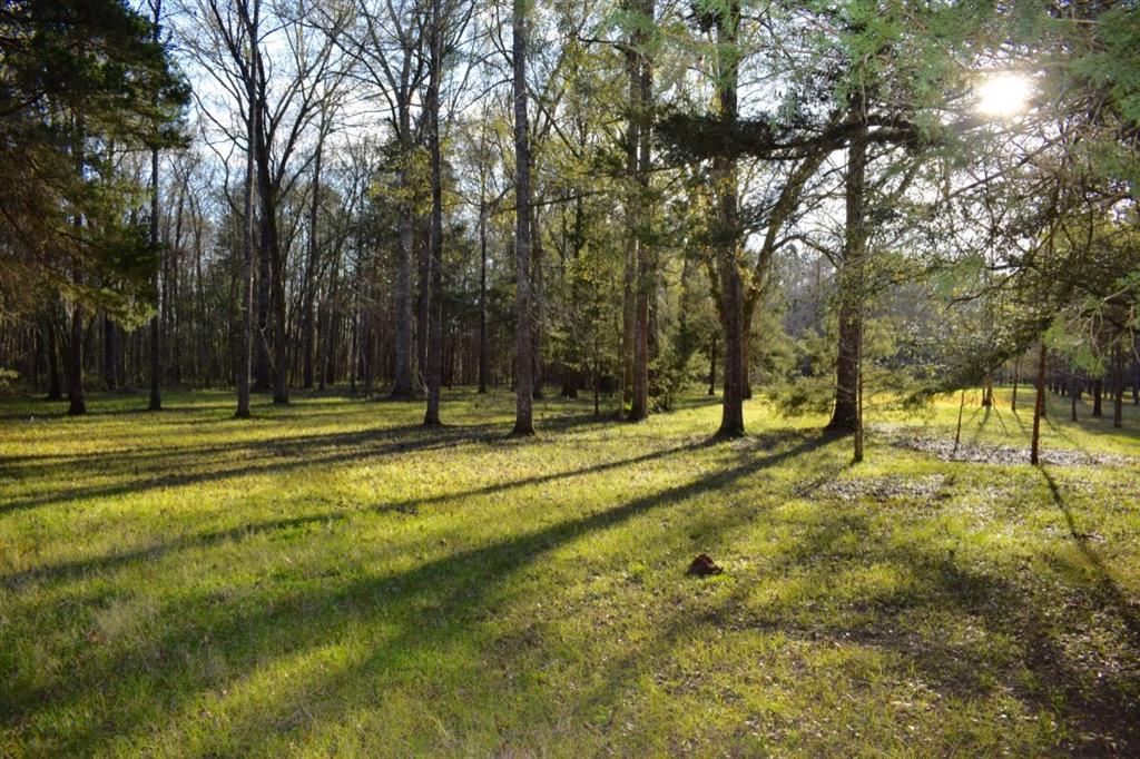 5816 B Old Boyce Road Boyce, LA 71409 - Photo 1 of 3 Gallery Image 1