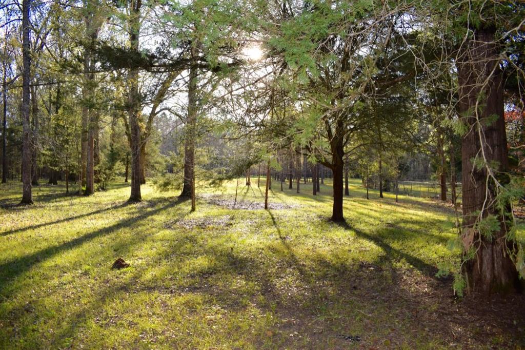 5816 B Old Boyce Road Boyce, LA 71409 - Photo 2 of 3 Gallery Image 2