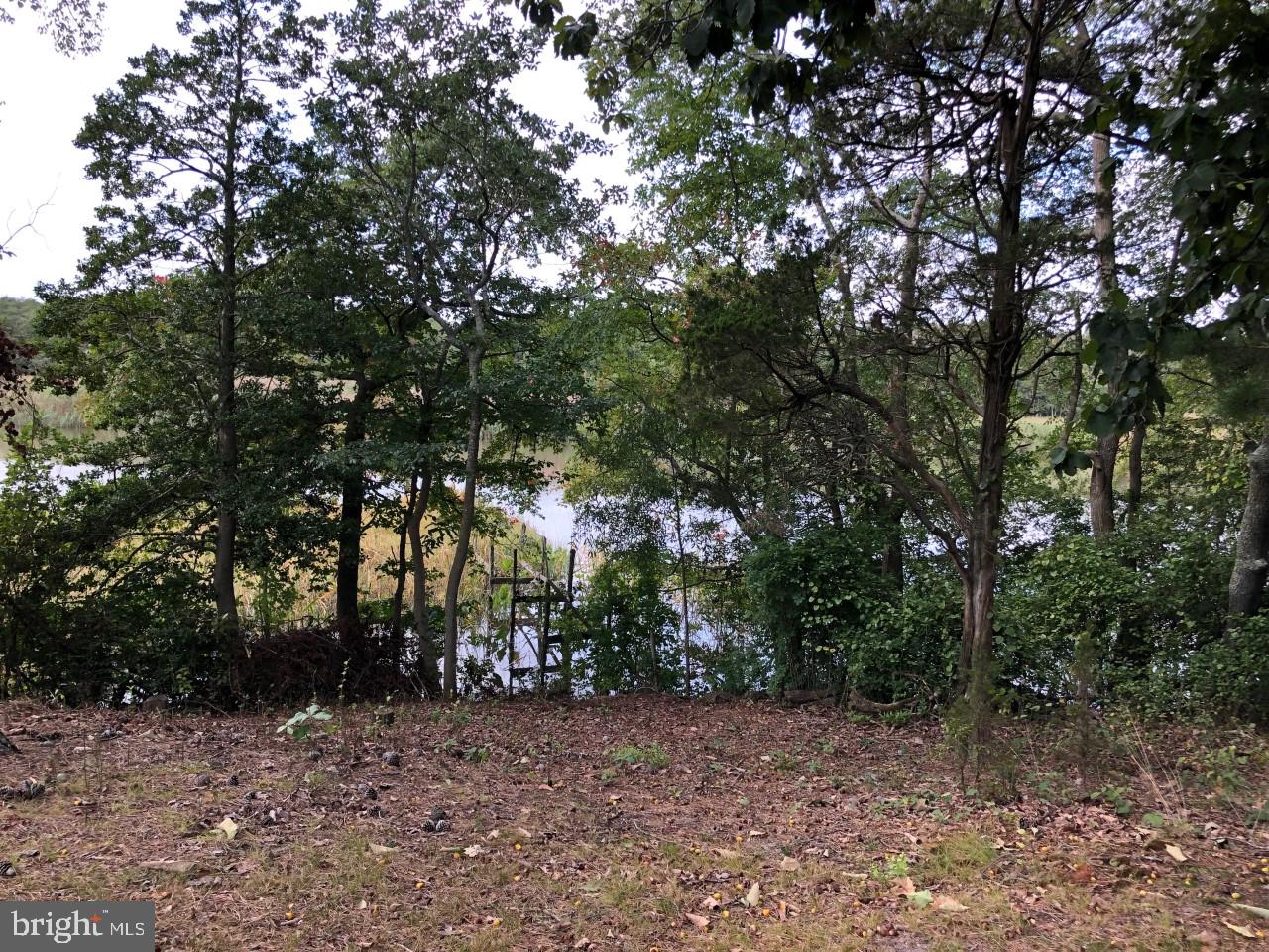 16 Old Stage Road Millville, NJ 08332 - Photo 1 of 28 View of the Manumuskin River
