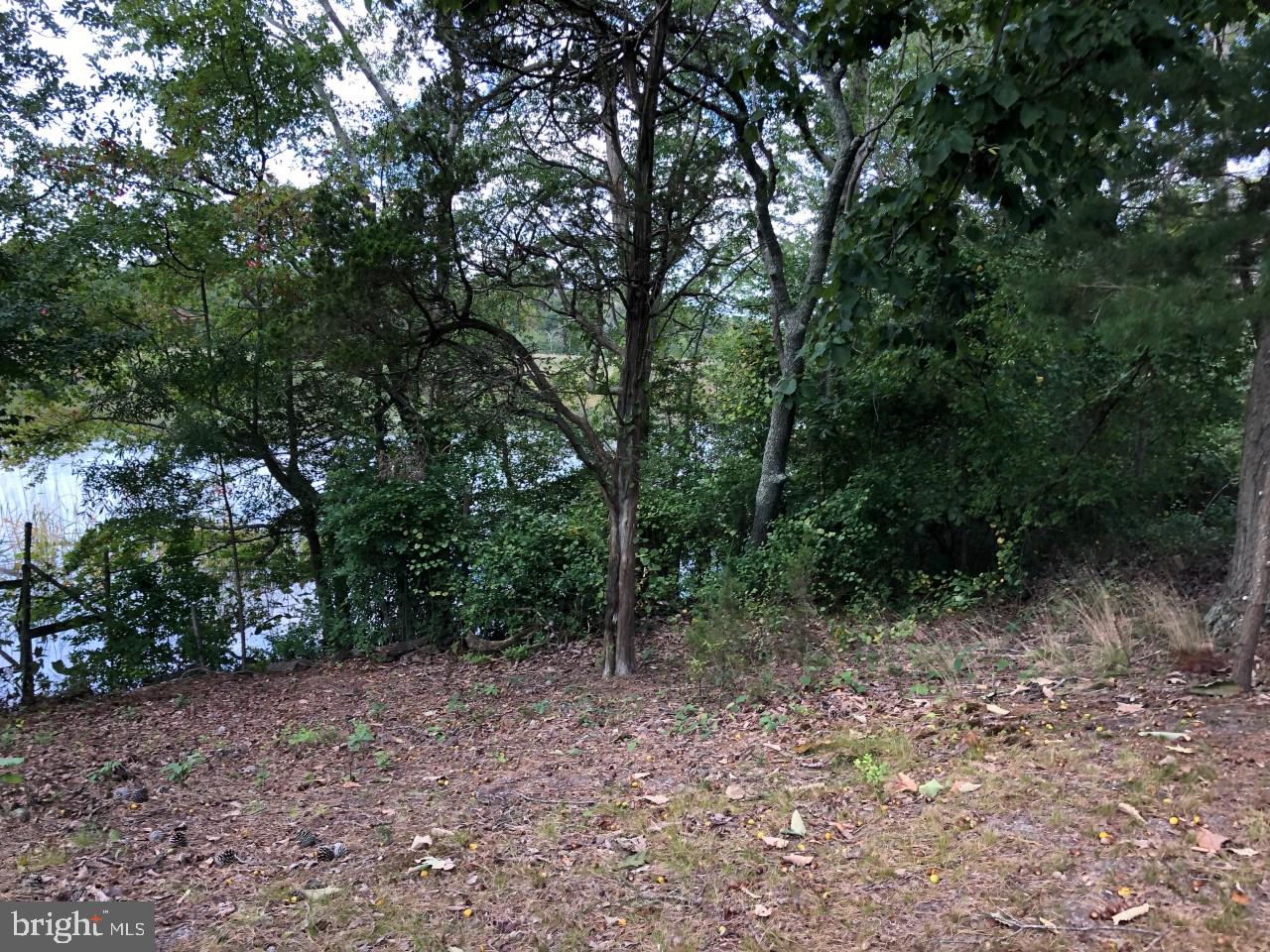 16 Old Stage Road Millville, NJ 08332 - Photo 2 of 28 View of river