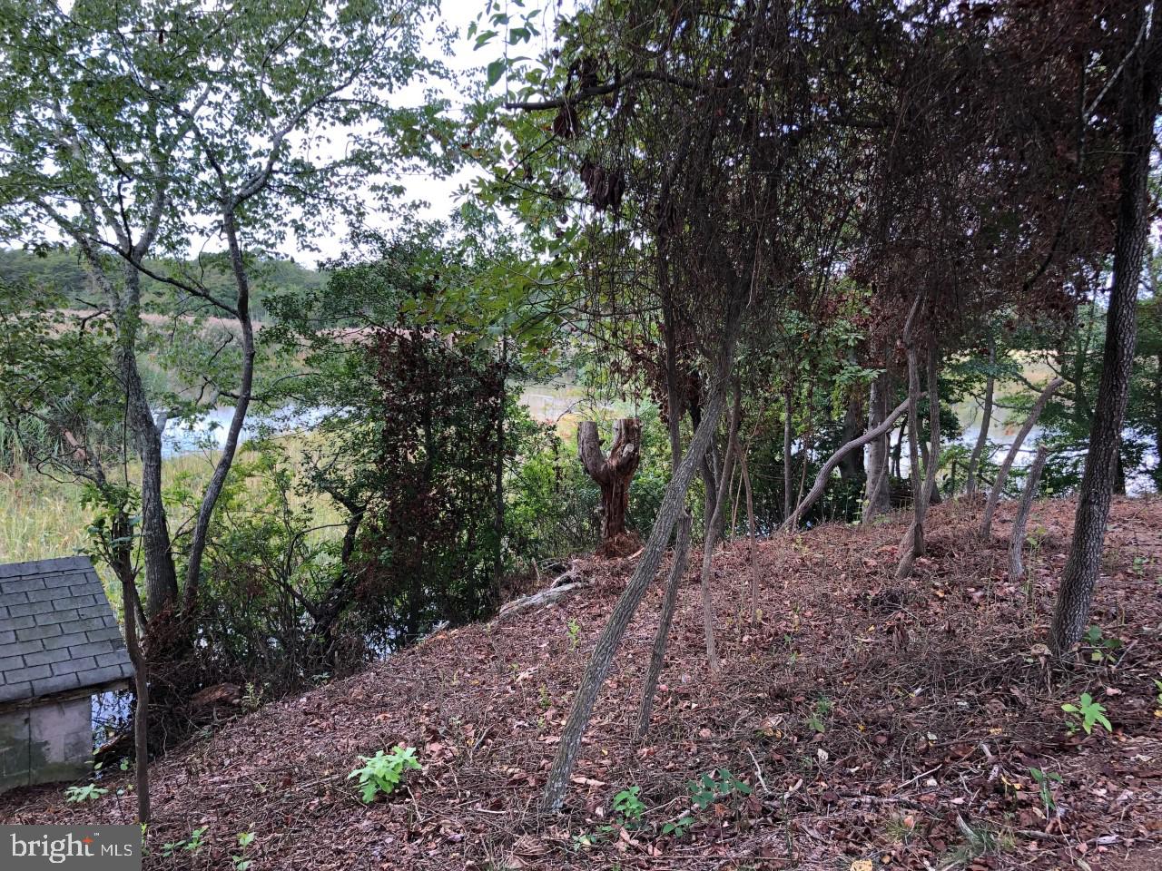 16 Old Stage Road Millville, NJ 08332 - Photo 11 of 28 View of river