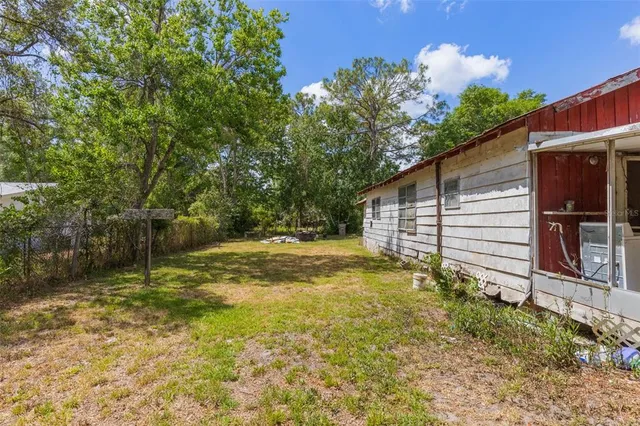 a view of a backyard with plants and large tree